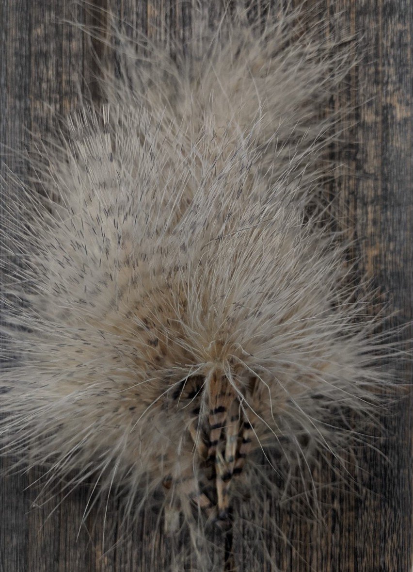 MFC Mini Barred Marabou 3-5" Tan/Grey Saddle Hackle, Hen Hackle, Asst. Feathers