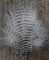 MFC Mini Barred Marabou 3-5" White/Black Saddle Hackle, Hen Hackle, Asst. Feathers