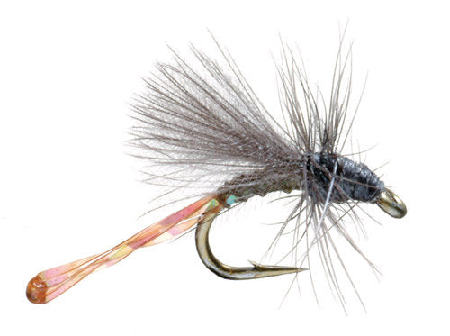 Morgan's Midge 20 Trout Flies