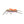 Morrish Hopper Pink / 08 Trout Flies