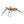 Morrish Hopper Tan / 08 Trout Flies