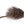 Mouserat Flies