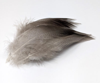Nature's Spirit Bronze Mallard 24 Select Feathers Saddle Hackle, Hen Hackle, Asst. Feathers