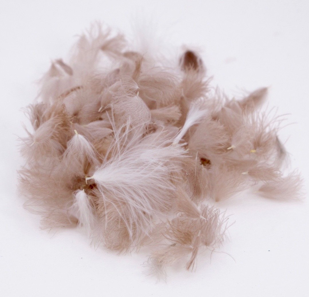 Nature's Spirit Bulk Cul De Canard CDC Tufts 1/2 gram White Saddle Hackle, Hen Hackle, Asst. Feathers