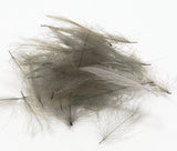 Nature's Spirit Duck Cul De Canard Feathers CDC Medium Gray Dun