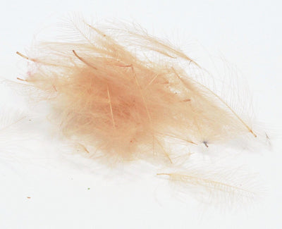 Nature's Spirit Duck Cul De Canard Feathers CDC Pink Cahill