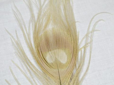 Nature's Spirit Dyed Peacock Sticks Light Cahill (DOB) Saddle Hackle, Hen Hackle, Asst. Feathers