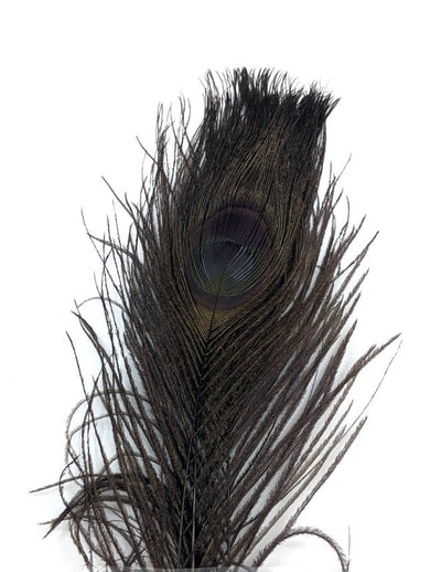 Nature's Spirit Dyed Peacock Sticks Muskrat Gray (DOB) Saddle Hackle, Hen Hackle, Asst. Feathers