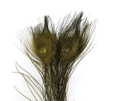 Nature's Spirit Dyed Peacock Sticks Olive Green Saddle Hackle, Hen Hackle, Asst. Feathers