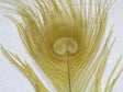 Nature's Spirit Dyed Peacock Sticks Pale Morning Dun (DOB) Saddle Hackle, Hen Hackle, Asst. Feathers