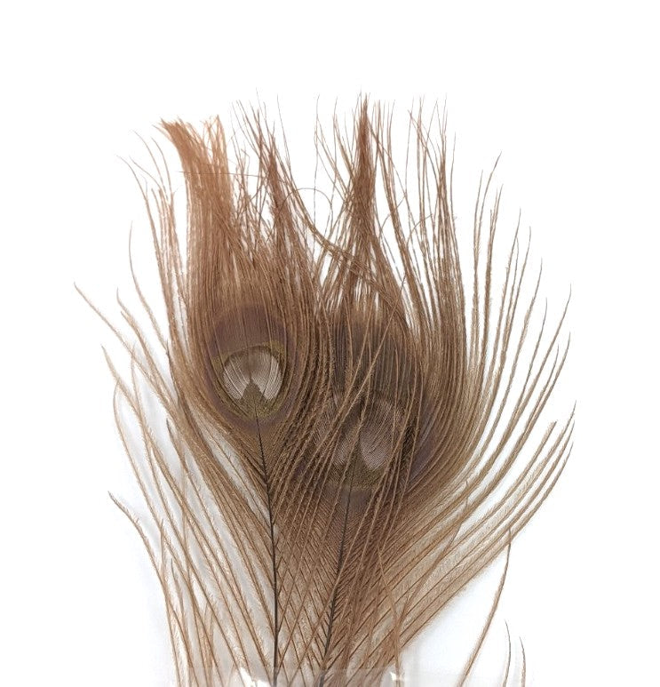 Nature's Spirit Dyed Peacock Sticks Tan (DOB) Saddle Hackle, Hen Hackle, Asst. Feathers