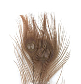 Nature's Spirit Dyed Peacock Sticks Tan (DOB) Saddle Hackle, Hen Hackle, Asst. Feathers