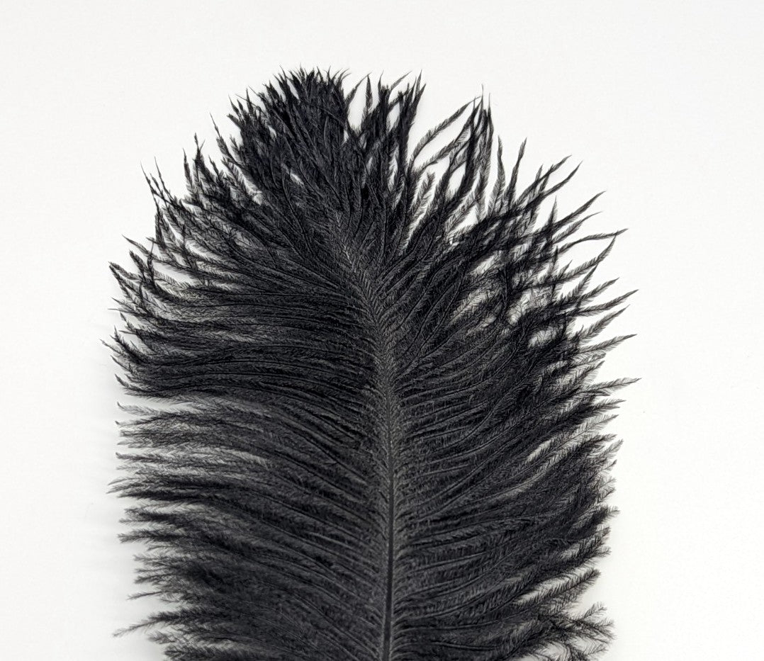 Nature's Spirit Ostrich Plume 10-12" Black Saddle Hackle, Hen Hackle, Asst. Feathers