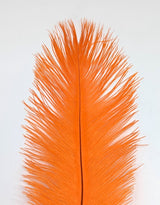 Nature's Spirit Ostrich Plume 10-12" Orange Saddle Hackle, Hen Hackle, Asst. Feathers