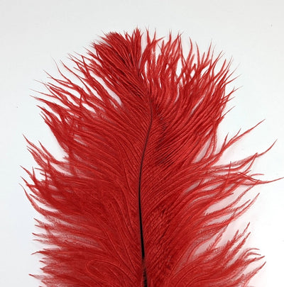 Nature's Spirit Ostrich Plume 10-12" Red Saddle Hackle, Hen Hackle, Asst. Feathers