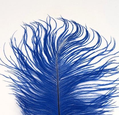 Nature's Spirit Ostrich Plume 10-12" Royal Blue Saddle Hackle, Hen Hackle, Asst. Feathers