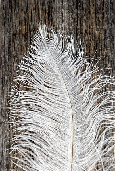 Nature's Spirit Ostrich Plume 10-12" White Saddle Hackle, Hen Hackle, Asst. Feathers
