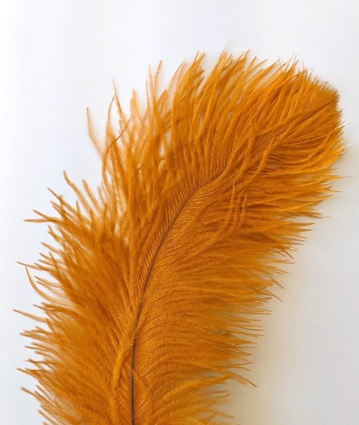 Nature's Spirit Ostrich Plume Gold Saddle Hackle, Hen Hackle, Asst. Feathers