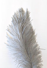 Nature's Spirit Ostrich Plume Muskrat Gray Saddle Hackle, Hen Hackle, Asst. Feathers