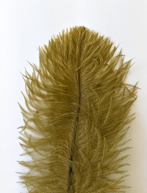 Nature's Spirit Ostrich Plume Olive Saddle Hackle, Hen Hackle, Asst. Feathers