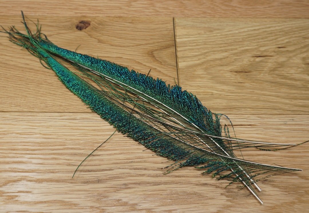 Nature's Spirit Peacock Swords