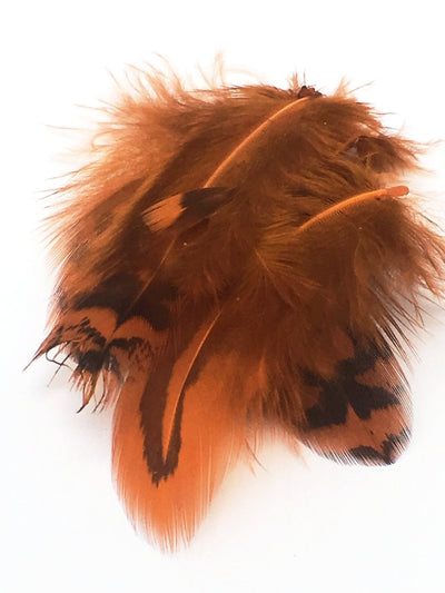 Nature's Spirit Premium Sharptail Grouse Burnt Orange