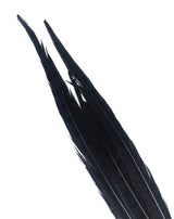 Nature's Spirit Ringneck Pheasant Side Tails - 3 tails - 12" to 14" Black Saddle Hackle, Hen Hackle, Asst. Feathers