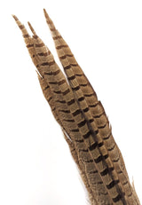 Nature's Spirit Ringneck Pheasant Side Tails - 3 tails - 12" to 14" Bleached Saddle Hackle, Hen Hackle, Asst. Feathers