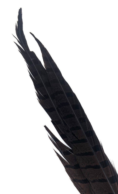 Nature's Spirit Ringneck Pheasant Side Tails - 3 tails - 12" to 14" Brown Saddle Hackle, Hen Hackle, Asst. Feathers