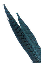 Nature's Spirit Ringneck Pheasant Side Tails - 3 tails - 12" to 14" Fl Blue Saddle Hackle, Hen Hackle, Asst. Feathers