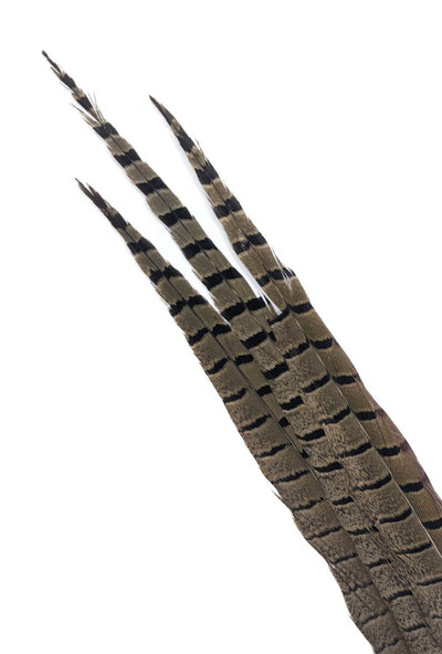 Nature's Spirit Ringneck Pheasant Side Tails - 3 tails - 12" to 14" Natural Saddle Hackle, Hen Hackle, Asst. Feathers