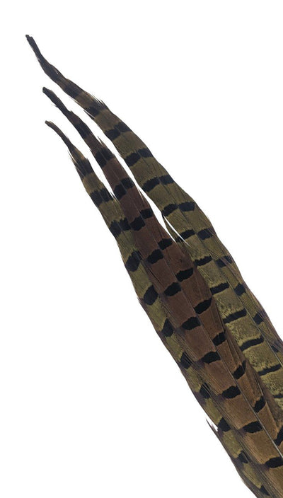 Nature's Spirit Ringneck Pheasant Side Tails - 3 tails - 12" to 14" Olive Saddle Hackle, Hen Hackle, Asst. Feathers
