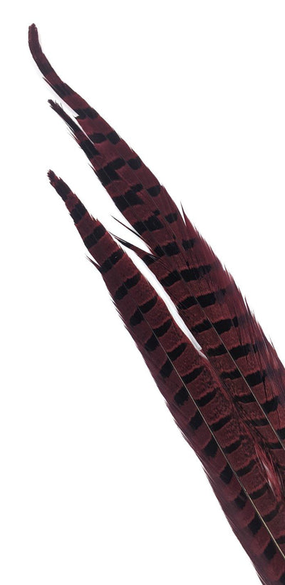Nature's Spirit Ringneck Pheasant Side Tails - 3 tails - 12" to 14" Red Saddle Hackle, Hen Hackle, Asst. Feathers