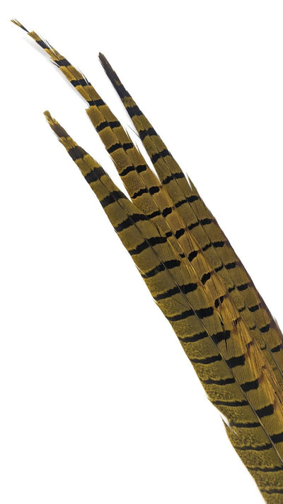 Nature's Spirit Ringneck Pheasant Side Tails - 3 tails - 12" to 14" Yellow Saddle Hackle, Hen Hackle, Asst. Feathers