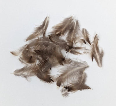 Nature's Spirit Select Starling Feathers - 48 count Bleached Saddle Hackle, Hen Hackle, Asst. Feathers