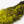 Nature's Spirit Schlappen Yellow Variant