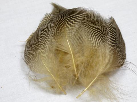 Nature's Spirit Teal Barred Flank - Select Feathers – Dakota