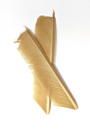 Nature's Spirit Turkey Biot Quill Pieces Pale Morning Dun Saddle Hackle, Hen Hackle, Asst. Feathers