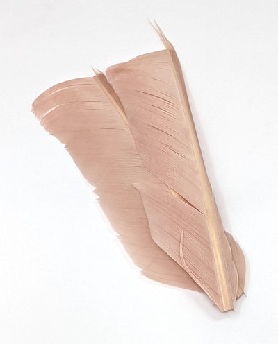 Nature's Spirit Turkey Biot Quill Pieces Pink Cahill Saddle Hackle, Hen Hackle, Asst. Feathers