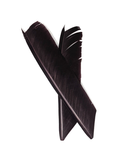 Nature's Spirit Turkey Biot Quill Pieces Trico Saddle Hackle, Hen Hackle, Asst. Feathers