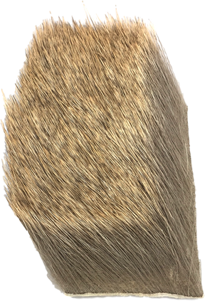 Nature's Spirit Yearling Elk Hair 2" x 3" Natural Hair, Fur