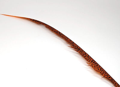 Nature's Sprit Golden Pheasant Center Tail Feather Rusty Orange Saddle Hackle, Hen Hackle, Asst. Feathers