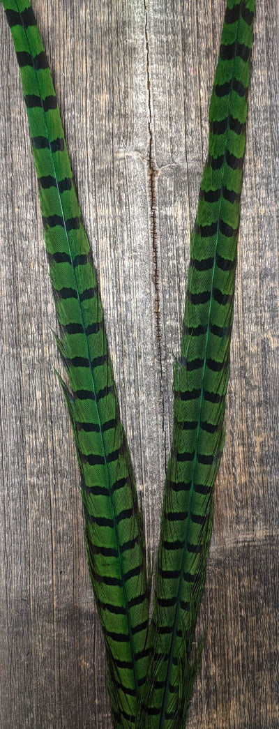 Nature's Sprit Ringneck Pheasant Center Tails Caddis Green Saddle Hackle, Hen Hackle, Asst. Feathers