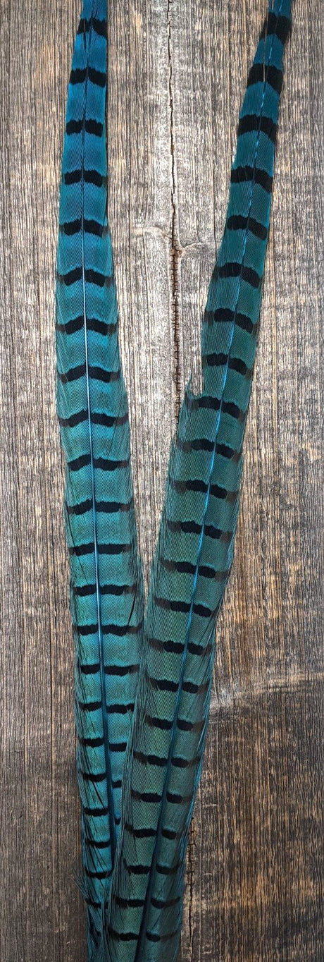 Nature's Sprit Ringneck Pheasant Center Tails Fluorescent Blue Saddle Hackle, Hen Hackle, Asst. Feathers