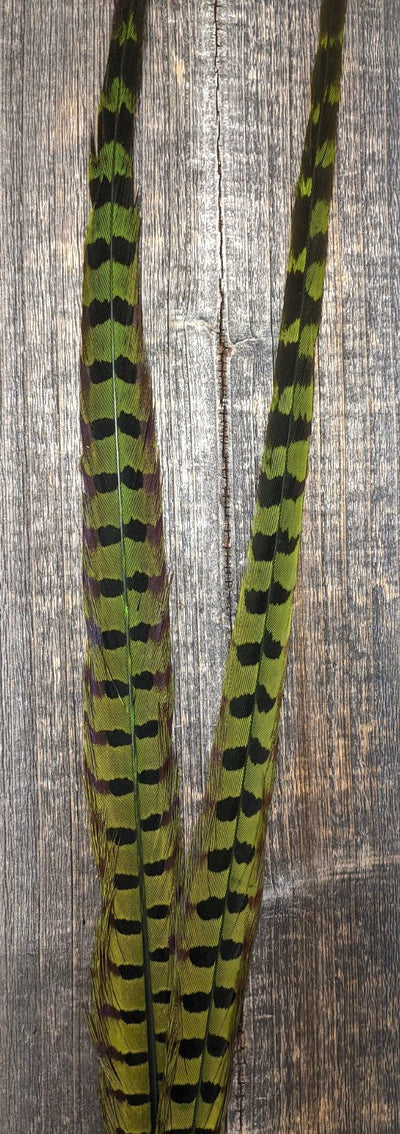 Nature's Sprit Ringneck Pheasant Center Tails Fluorescent Chartreuse Saddle Hackle, Hen Hackle, Asst. Feathers