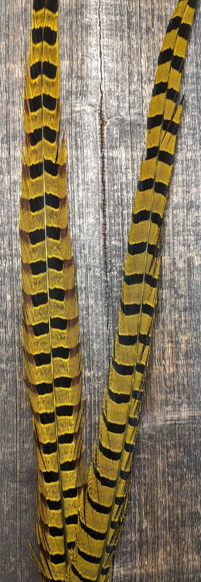 Nature's Sprit Ringneck Pheasant Center Tails Yellow Saddle Hackle, Hen Hackle, Asst. Feathers