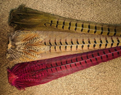 Nature's Sprit Ringneck Pheasant Tail Clump
