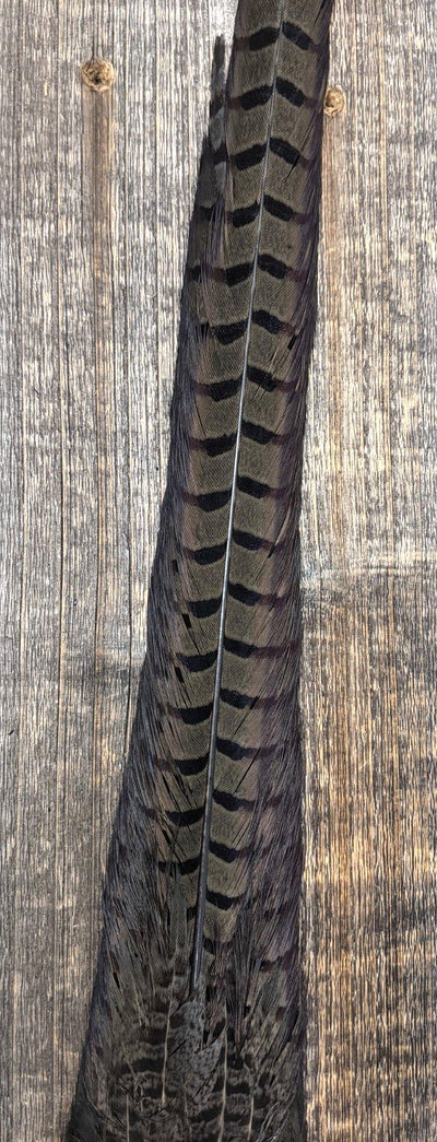 Nature's Sprit Ringneck Pheasant Tail Clump Muskrat Gray Saddle Hackle, Hen Hackle, Asst. Feathers