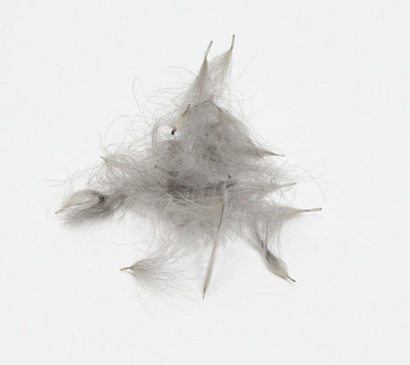 Natures Spirit Cul de Canard CDC Tufts Medium Dun Saddle Hackle, Hen Hackle, Asst. Feathers