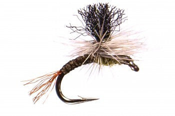 Para-Sipper BWO TROUT FLIES